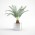 Interior Plants (3D plant models)