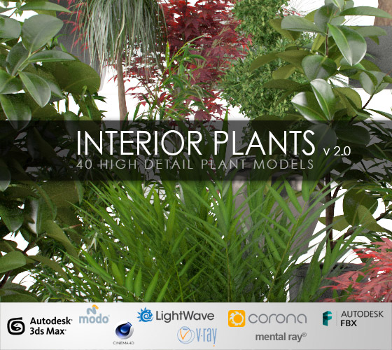 Interior Plants 2.0 Interior Plants 2.0
