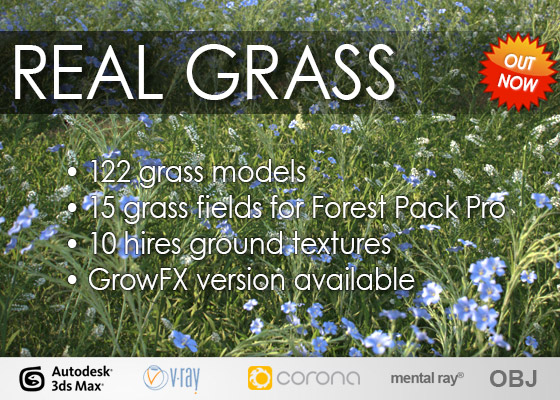 Real Grass Real Grass