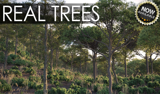 Real Trees Real Trees