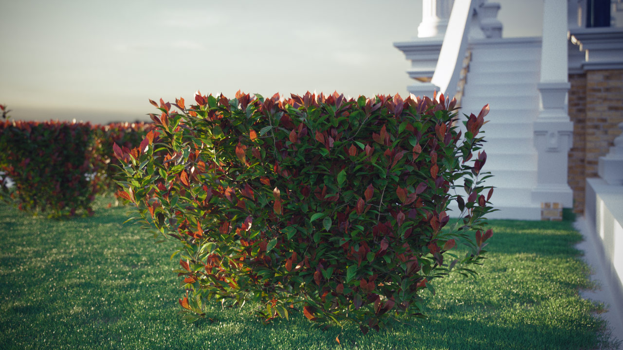 Plants Complete 3d Models Of Grass Shrubs Trees And Flowers