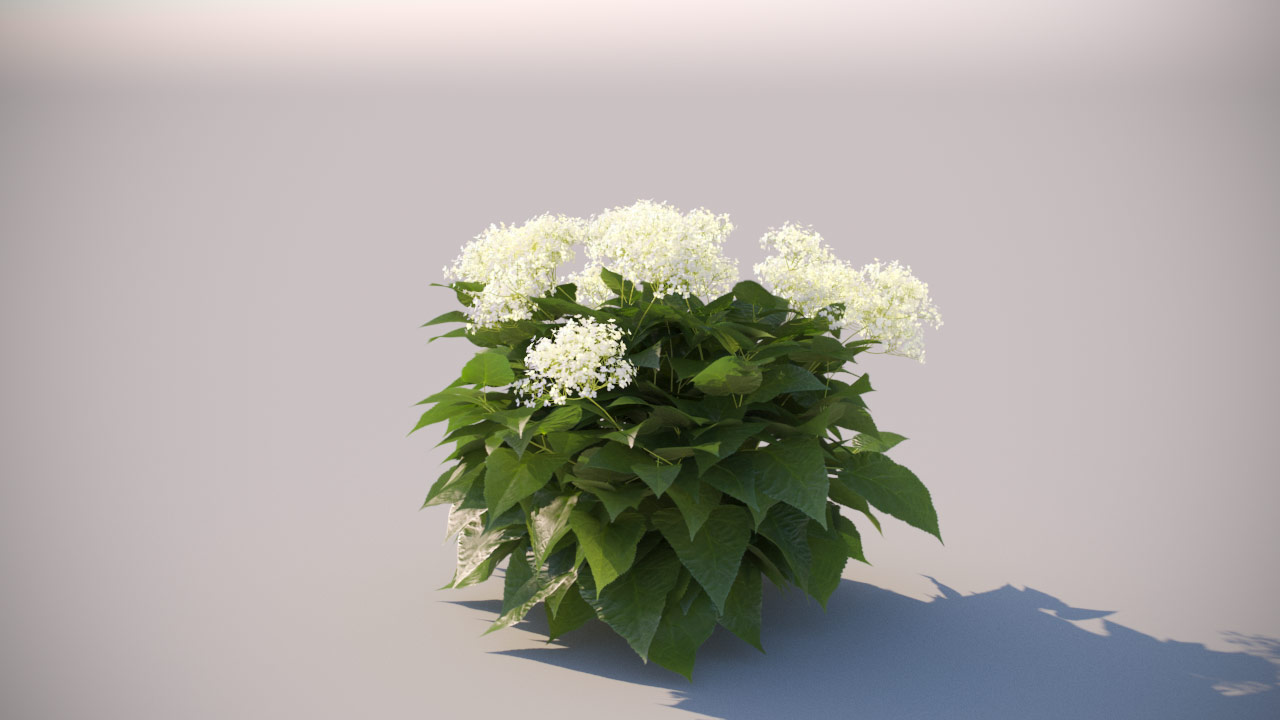 Plants Complete 3d Models Of Grass Shrubs Trees And Flowers